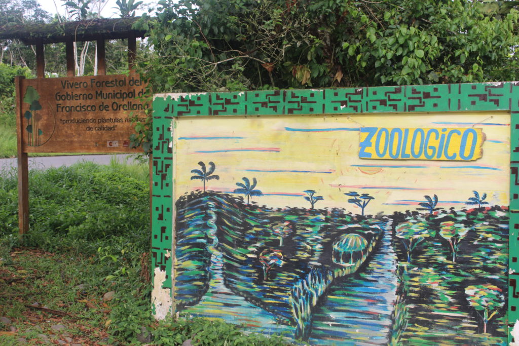 Zoológico Municipal ubicado a nueve kilómetros de Coca, en la vía Auca. Allí acogen a animales silvestres que son recuperados vivos en operativos contra el tráfico de especies. Foto: Daniela Aguilar