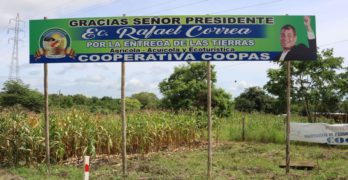 Los riesgos para la biodiversidad en la Reserva Ecológica Arenillas