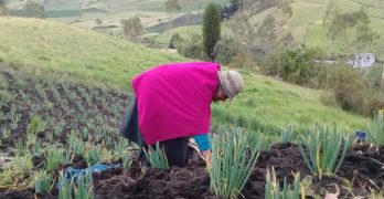 Comuneros indígenas impulsan la agroecología y el cuidado ambiental